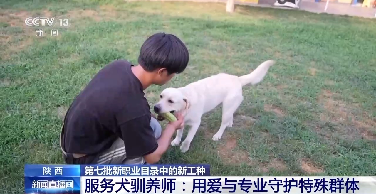 兰州牛肉拉面出考核教材了！来看拉面界的人才培养方式