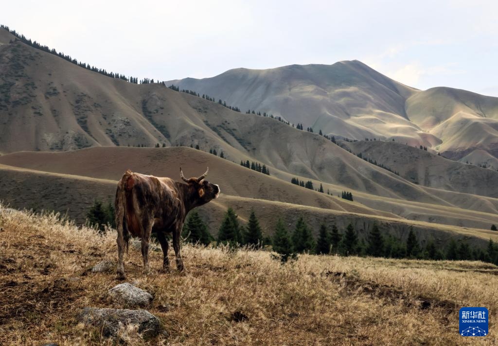 美丽中国丨壮美新疆乌苏古尔图