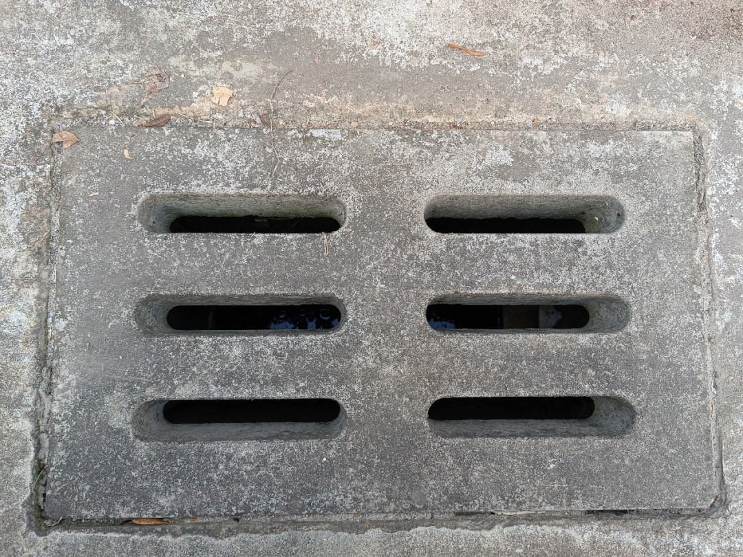 家里的这几个地方正悄悄“养”出花斑蚊 快自查→