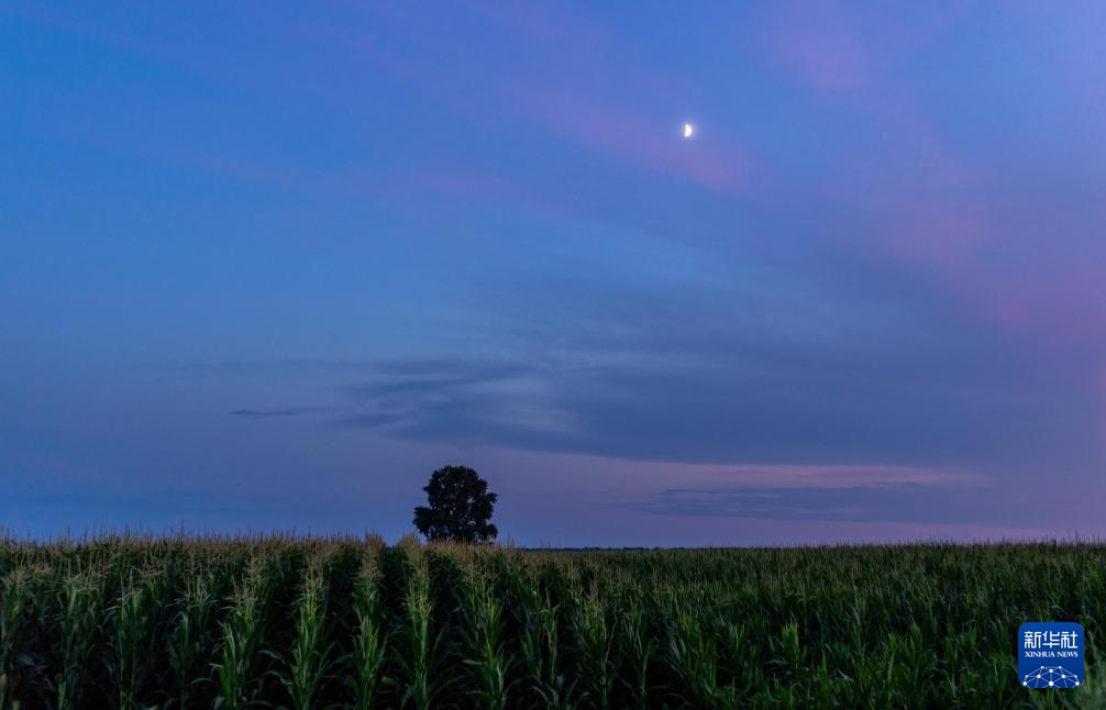 星空相册丨年度最小上弦月现身天宇