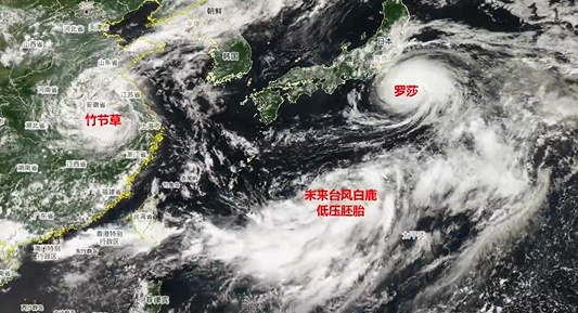 台风“白鹿”或生成！暴雨大暴雨即将抵达福建