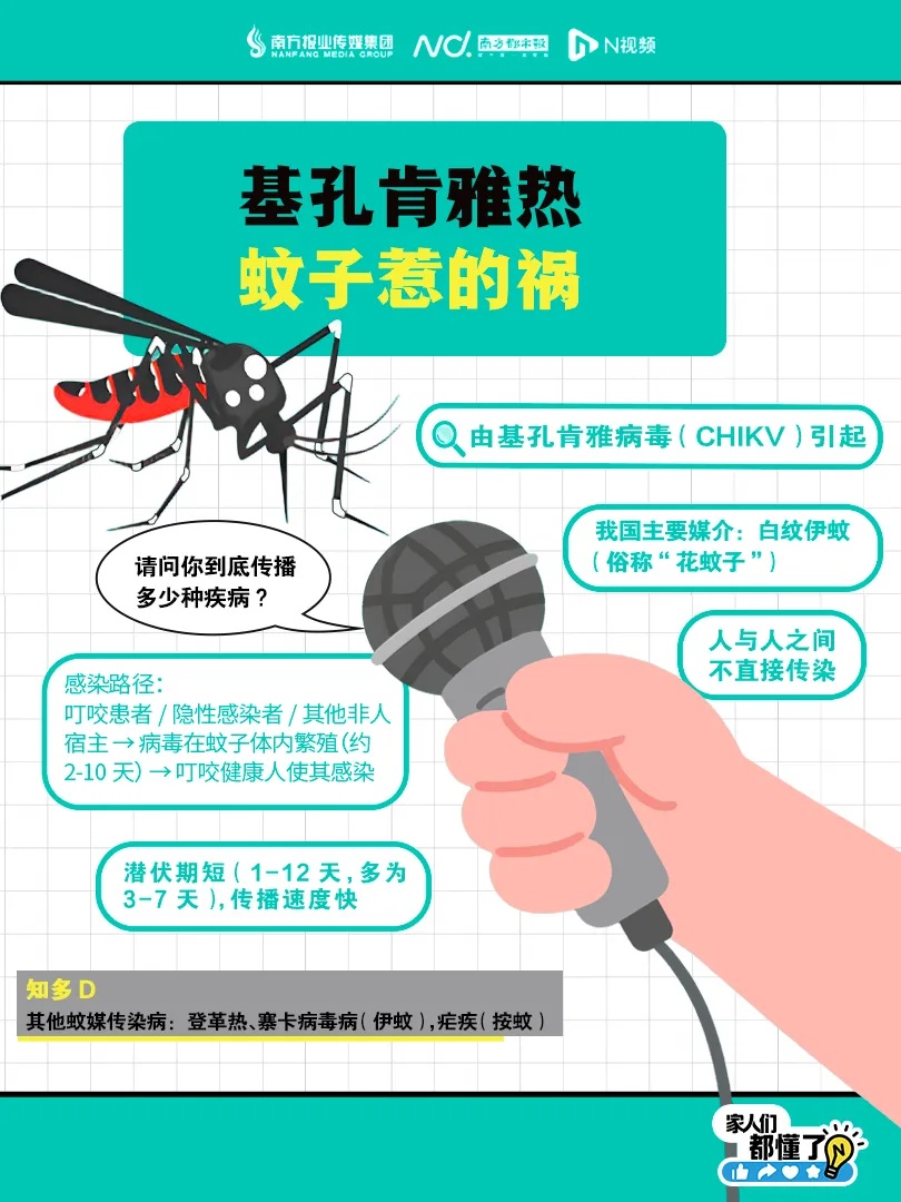 广东公布：8月1日至8月7日，这些地区蚊子非常活跃