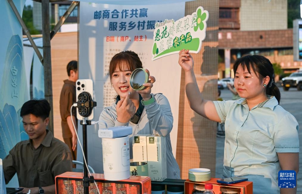 湖北来凤：藤茶富农兴产业