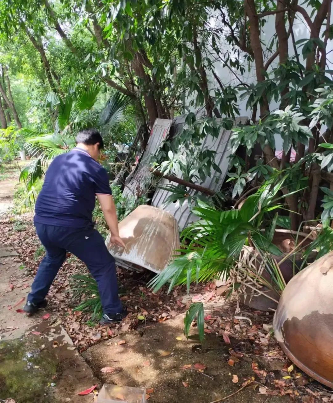 长沙今年伊蚊密度较去年有所下降，疾控专家揭秘测算方法