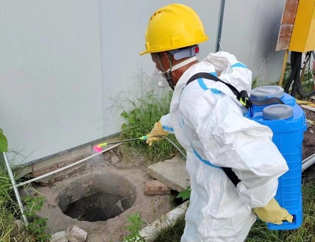 家里的这几个地方正悄悄“养”出花斑蚊 快自查→