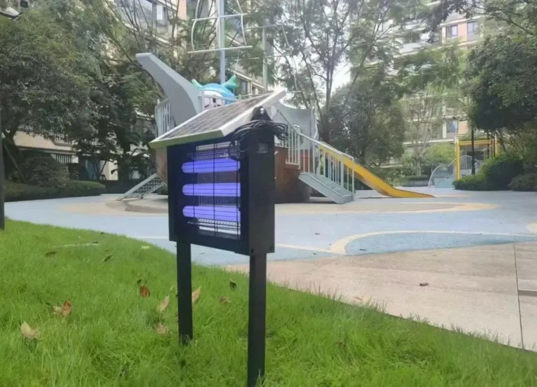 长沙今年伊蚊密度较去年有所下降，疾控专家揭秘测算方法