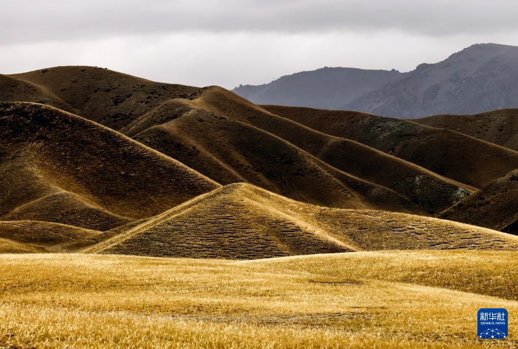 美丽中国丨壮美新疆乌苏古尔图