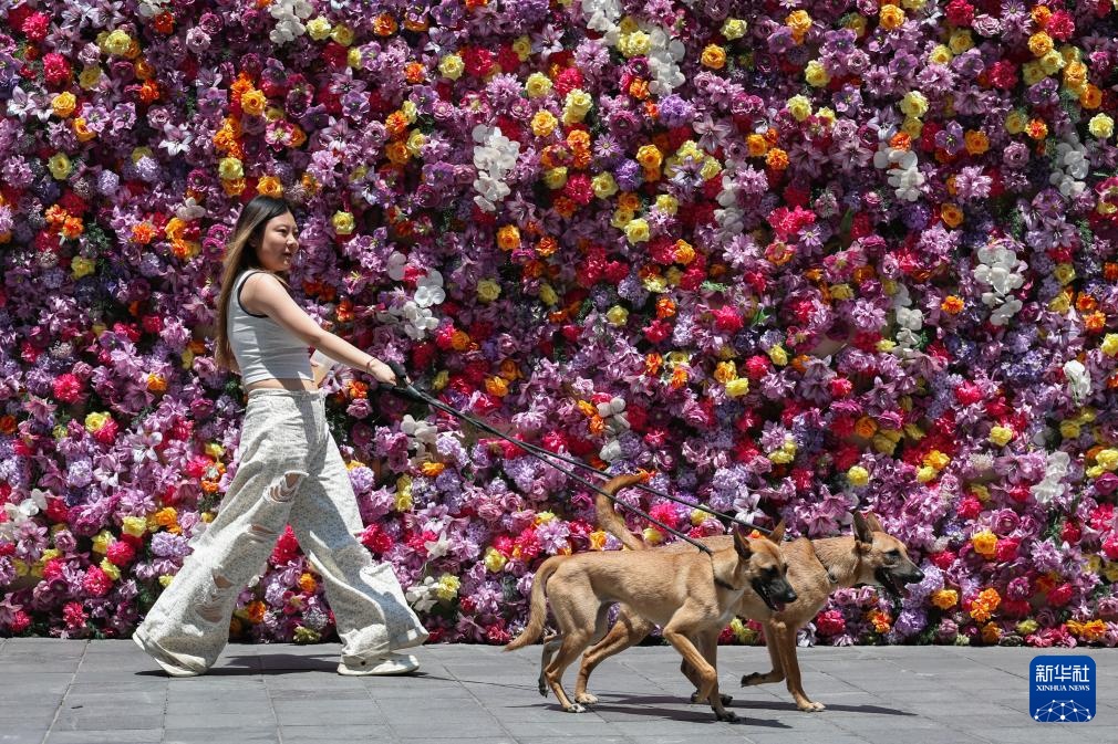 重庆再次发布高温红色预警信号
