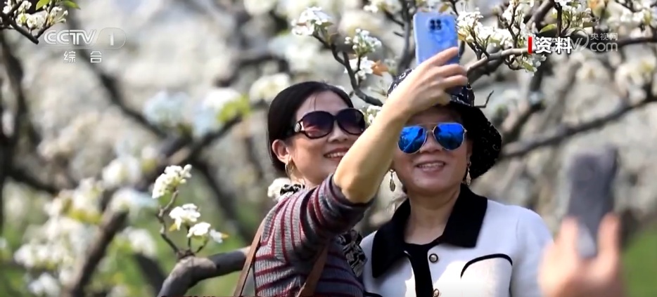 数据看变化 | 热度、消费双提升！上半年文旅市场多维增长