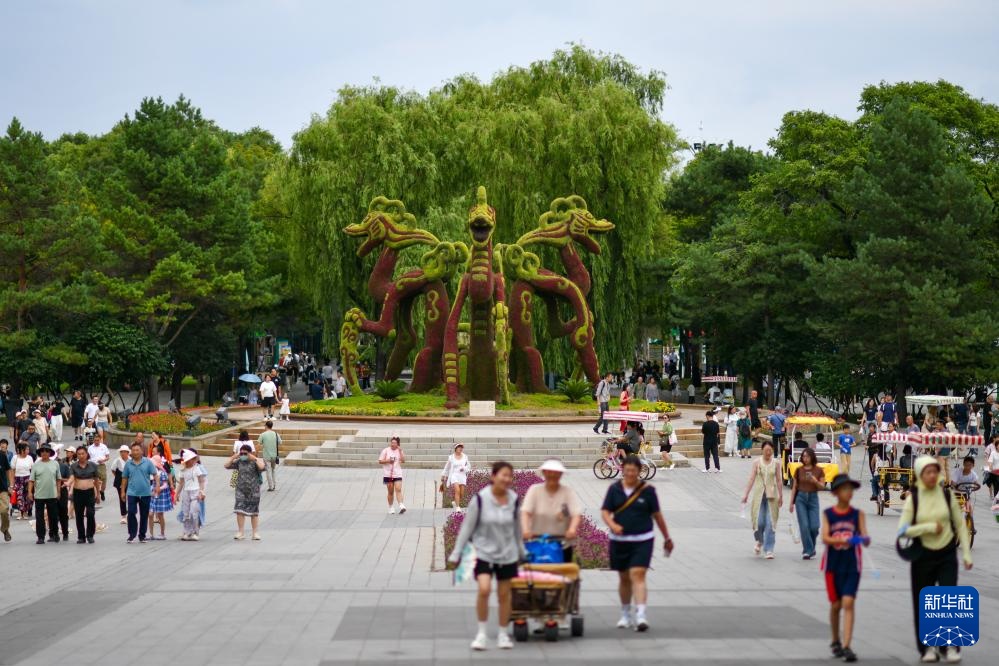 新华全媒＋丨“打卡”哈尔滨太阳岛：湿地漫游观城市生态画卷