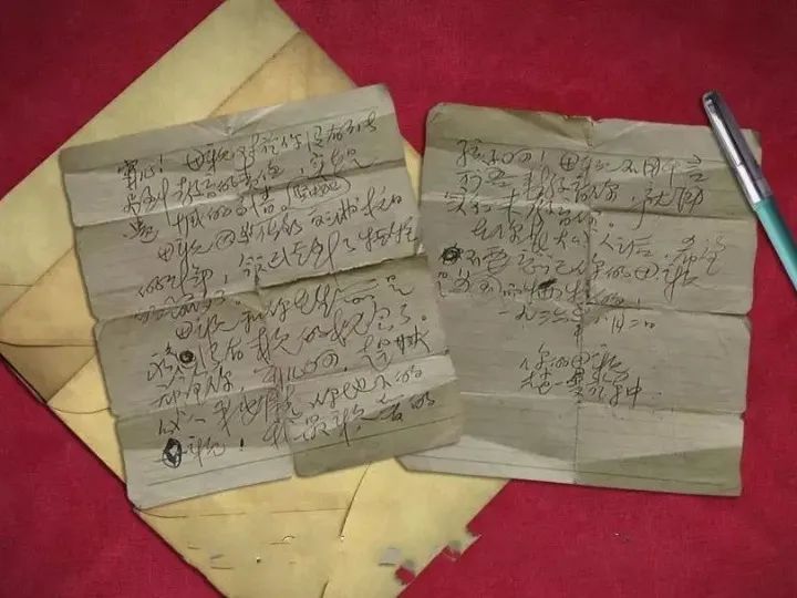 开往刑场的火车上，她给儿子留下一封绝笔遗书