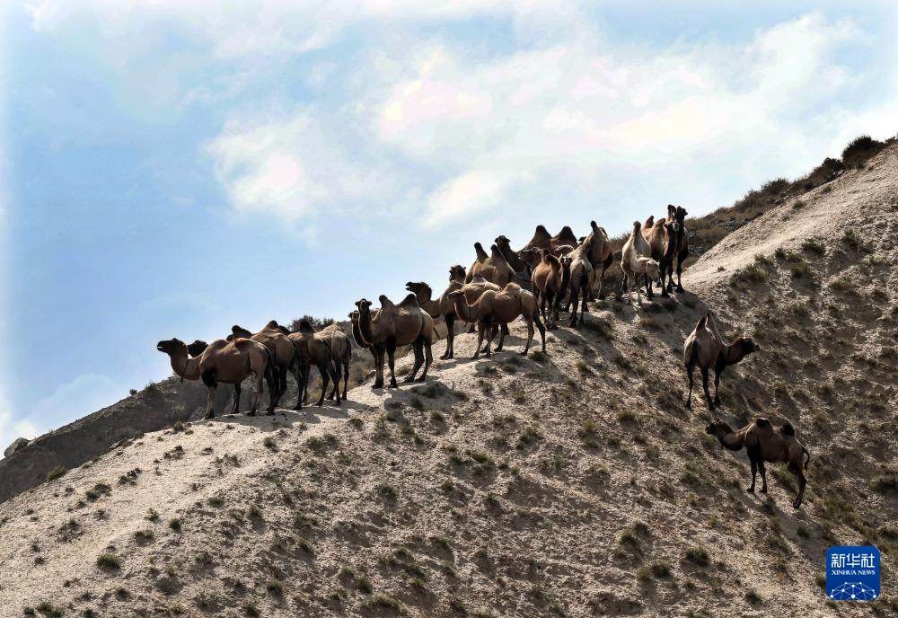 美丽中国丨壮美新疆乌苏古尔图