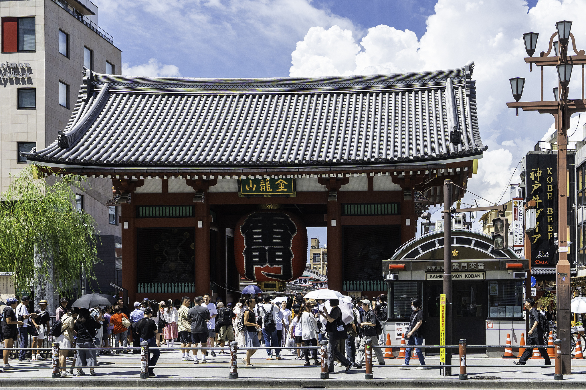 日本半年电诈金额近600亿日元 这类诈骗多年轻人中招！