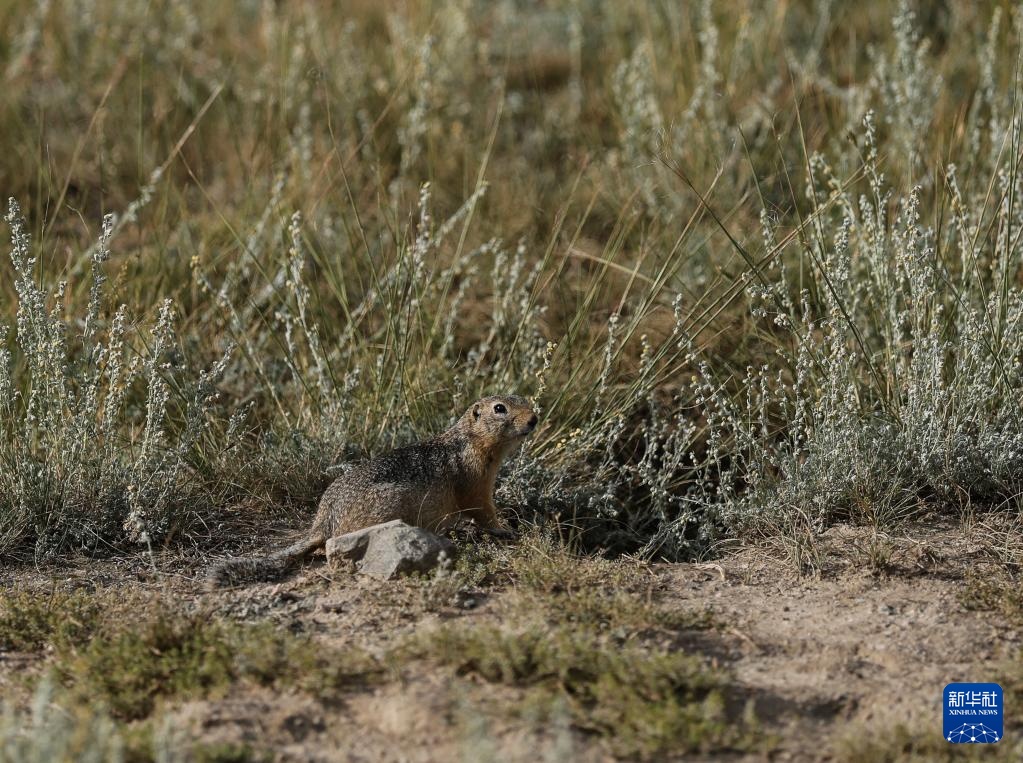 美丽中国丨壮美新疆乌苏古尔图