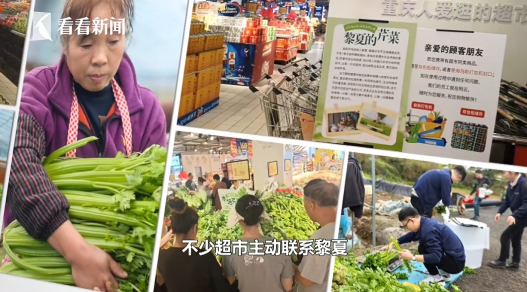 瘫痪多年! "最强大脑"和他的超人妈妈、消失的爸爸、不扫兴妹妹…重启人生