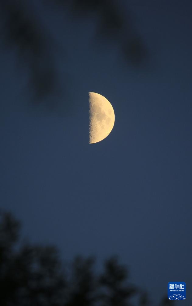 星空相册丨年度最小上弦月现身天宇