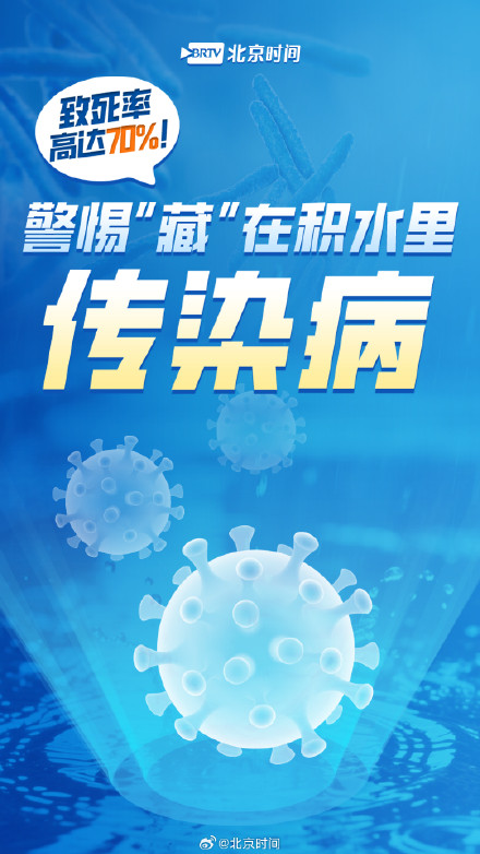 警惕藏在积水里的传染病！