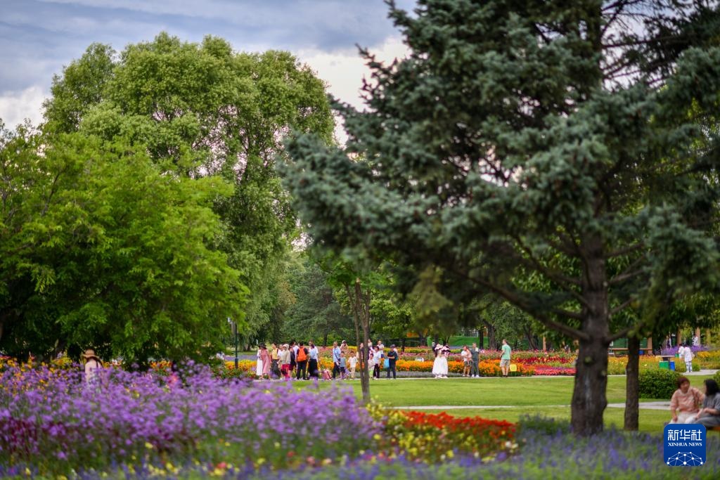 新华全媒＋丨“打卡”哈尔滨太阳岛：湿地漫游观城市生态画卷