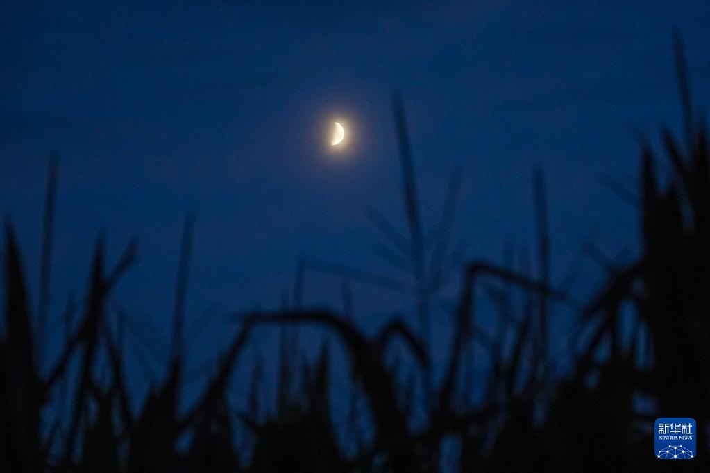 星空相册丨年度最小上弦月现身天宇