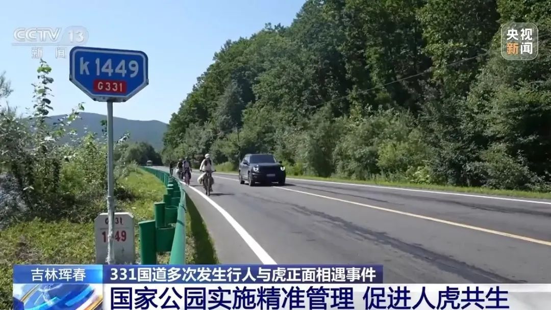 国道上，多人“偶遇”同一东北虎
