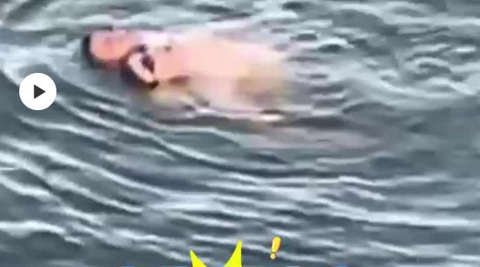 “海陆空”救人“三级跳”，尽燃八一军魂！