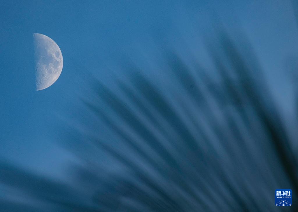星空相册丨年度最小上弦月现身天宇