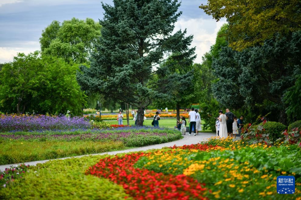 新华全媒＋丨“打卡”哈尔滨太阳岛：湿地漫游观城市生态画卷