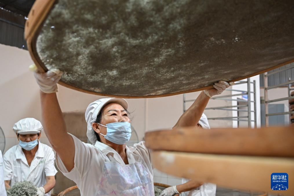 湖北来凤：藤茶富农兴产业