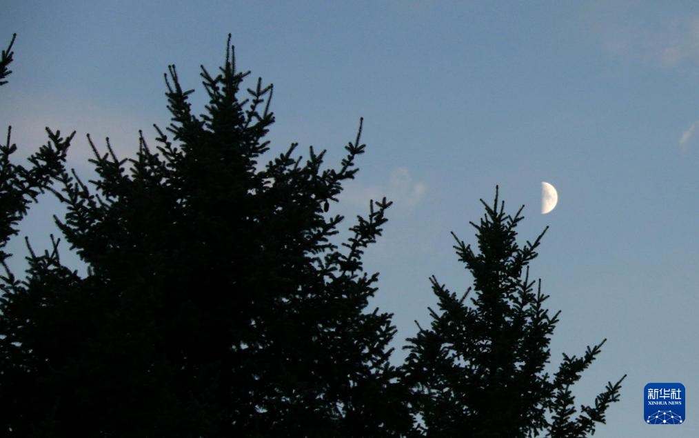 星空相册丨年度最小上弦月现身天宇