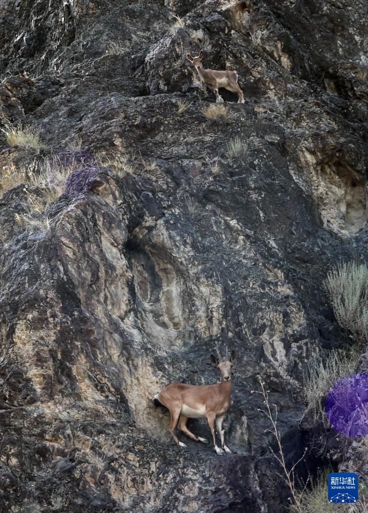 美丽中国丨壮美新疆乌苏古尔图