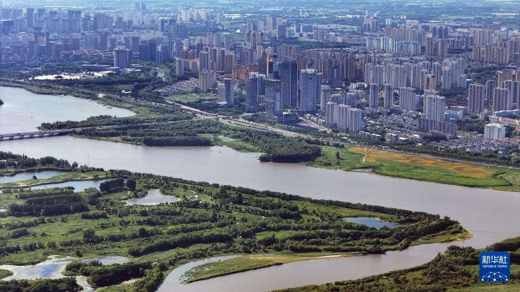 新华全媒＋丨“打卡”哈尔滨太阳岛：湿地漫游观城市生态画卷