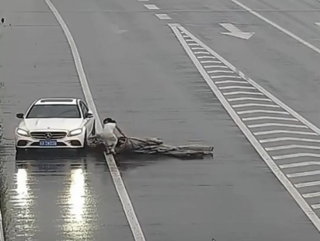 3Q!苏A3W03Q凌女士 3Q!苏A3W03Q凌女士