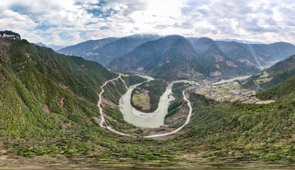 “绿色情书！” 极危物种跨越百年归来