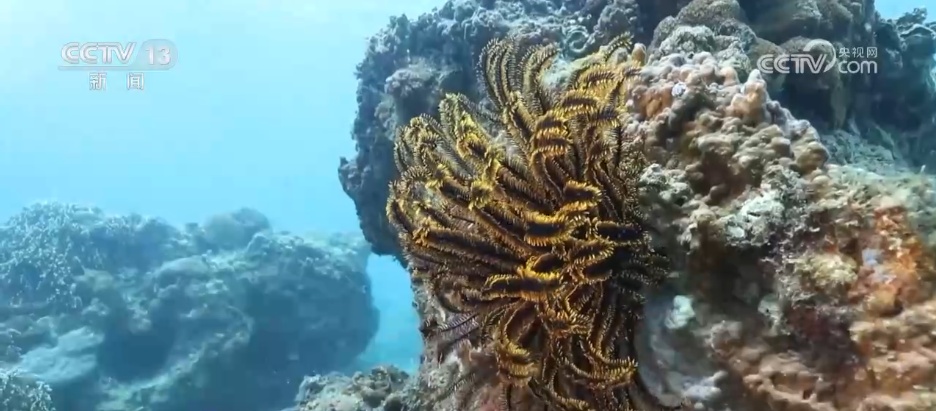 向海图强 海洋经济释放“蓝色引擎”澎湃动能 向海图强 海洋经济释放“蓝色引擎”澎湃动能