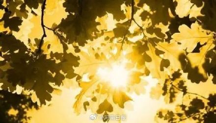 立秋撞末伏 谨防秋老虎