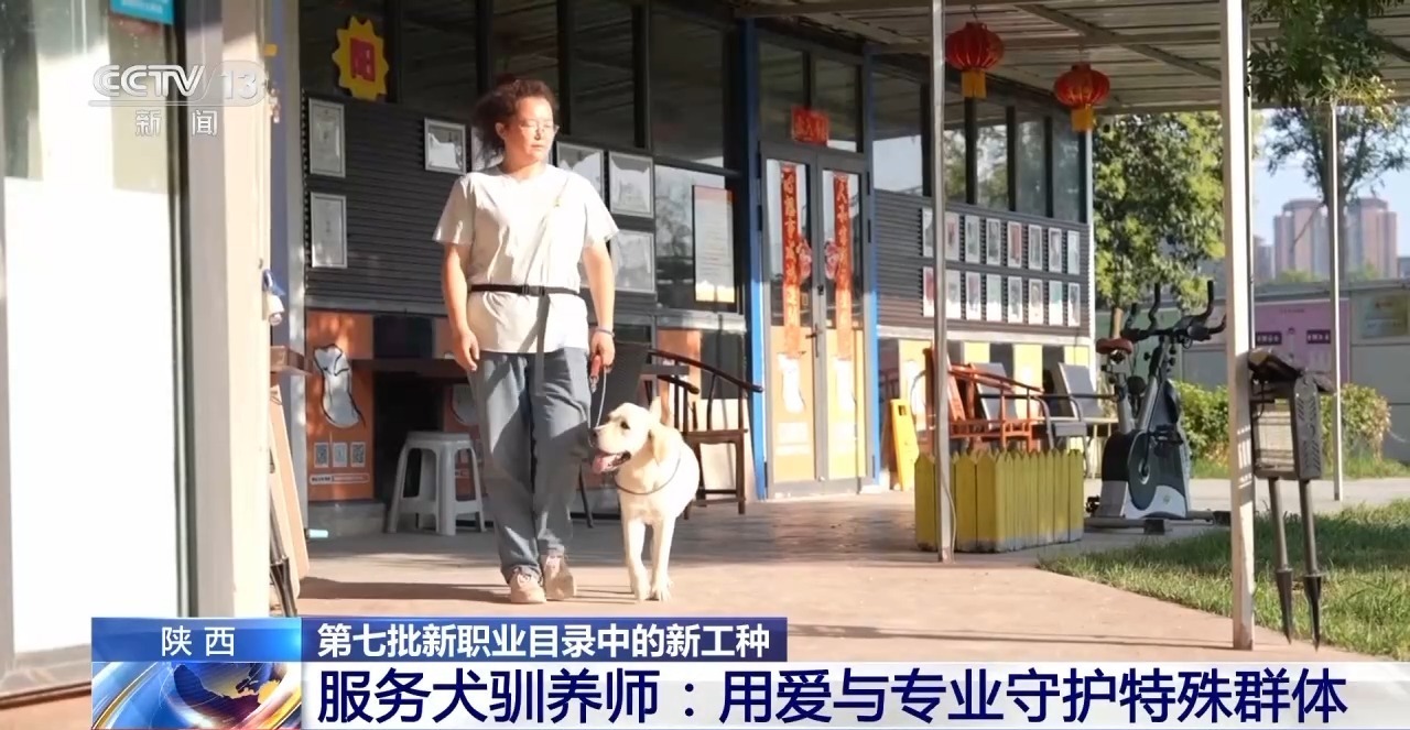 兰州牛肉拉面出考核教材了！来看拉面界的人才培养方式