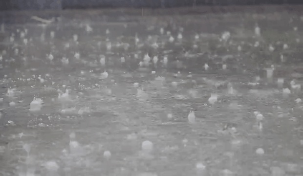 天气 | 中到大雨！局地雷暴大风！天津气象预报