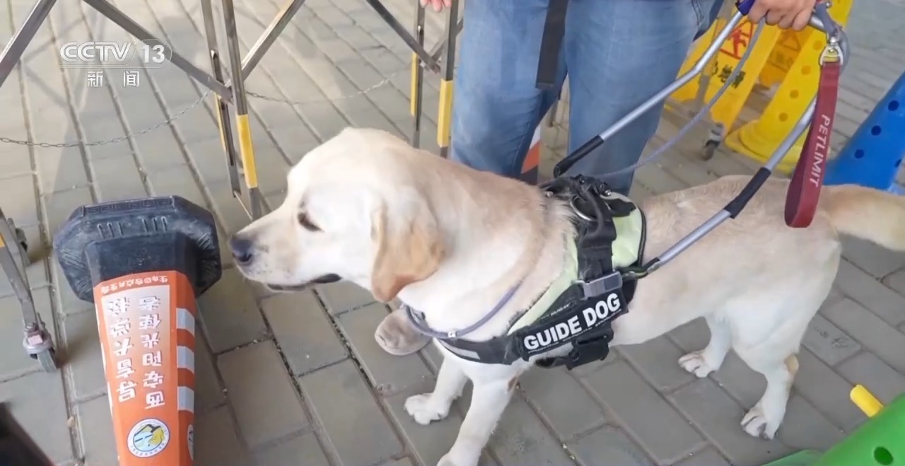 兰州牛肉拉面出考核教材了！来看拉面界的人才培养方式