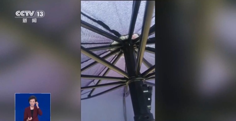 高压线下打伞为何会产生电火花？安全距离是多少？来看安全提示