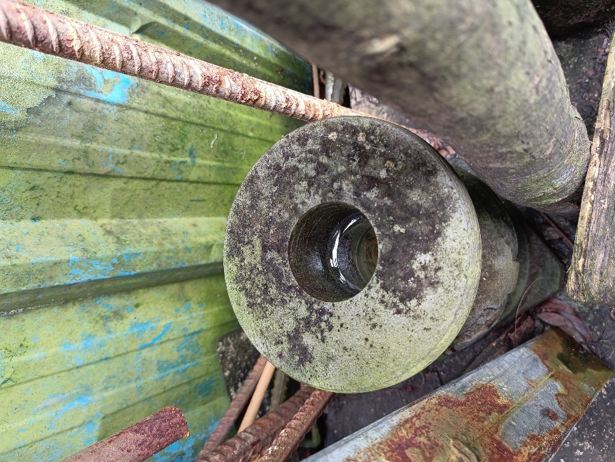 家里的这几个地方正悄悄“养”出花斑蚊 快自查→