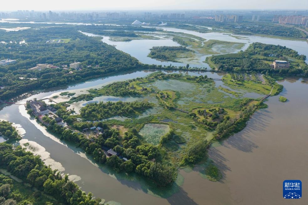 新华全媒＋丨“打卡”哈尔滨太阳岛：湿地漫游观城市生态画卷