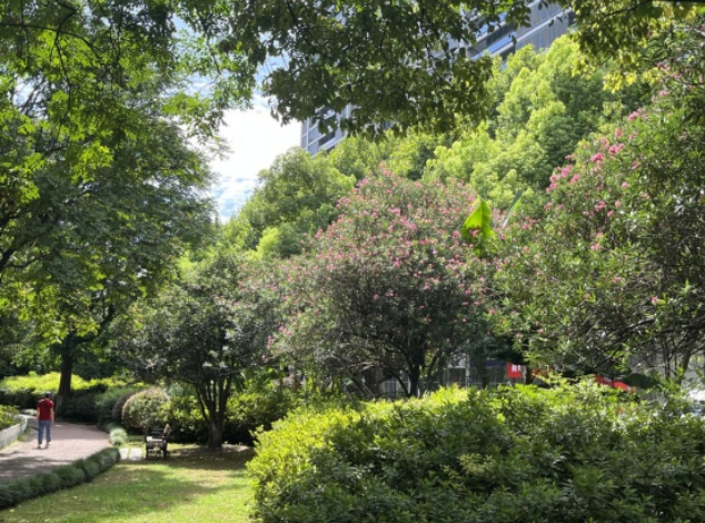 武汉多处出现！不要碰、不要吃