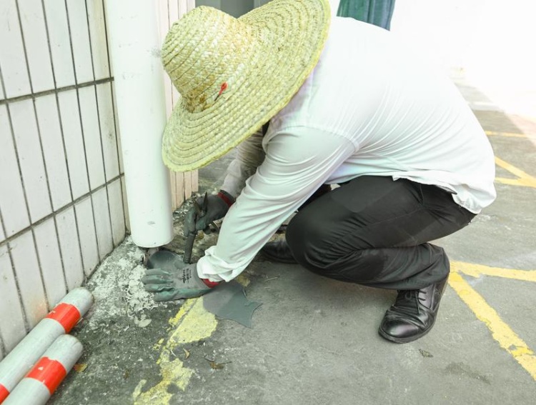 “基孔肯雅热”到底是什么？被蚊子咬了一定会感染吗？驱蚊产品怎么选？专家解答