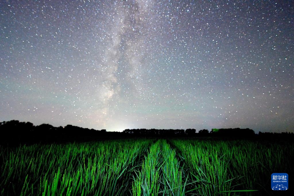 星空相册｜“北大仓”黑龙江：累累硕果“约会”点点繁星
