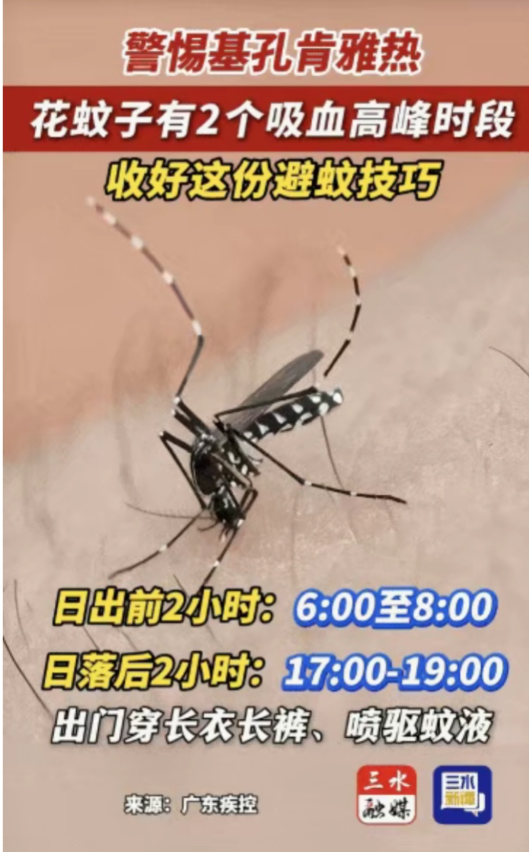 “基孔肯雅热”到底是什么？被蚊子咬了一定会感染吗？驱蚊产品怎么选？专家解答