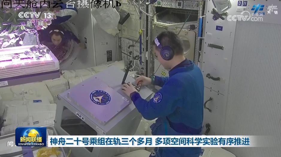神舟二十号乘组在轨三个多月 多项空间科学实验有序推进 神舟二十号乘组在轨三个多月 多项空间科学实验有序推进