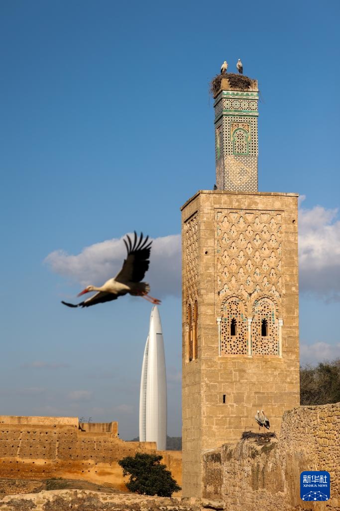 探访摩洛哥舍拉考古遗址 探访摩洛哥舍拉考古遗址