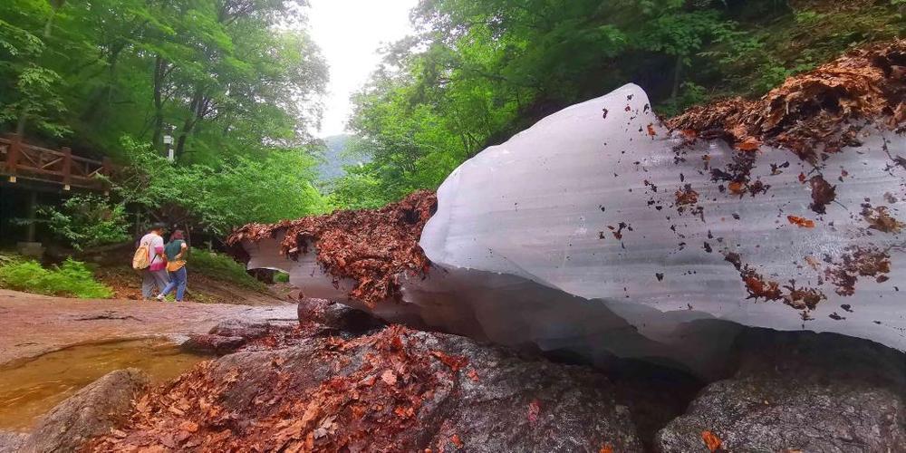 不止有冷空气，更有烟火气——东北避暑游“清凉”出圈