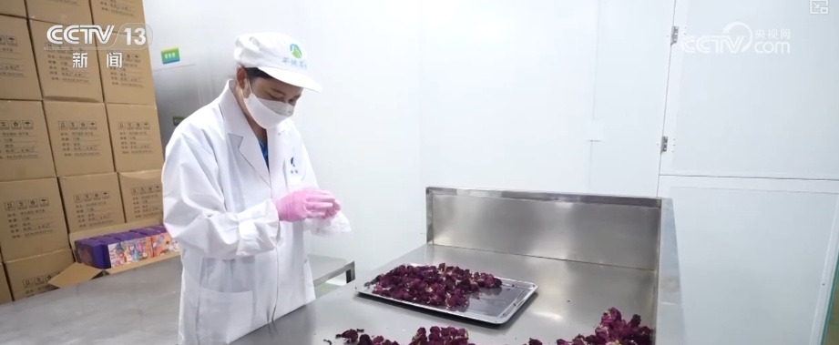 年轻人端起“新饭碗” 职业“上新”折射经济发展动能之变 年轻人端起“新饭碗” 职业“上新”折射经济发展动能之变