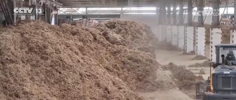 “变废为宝”鼓了百姓“钱袋子” 鲜活实践成撬动生态治理与经济发展“绿色杠杆”